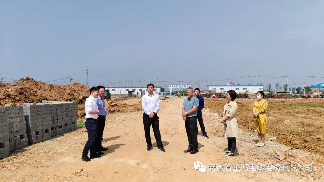 巢湖市市长汪功胜一行莅临巢湖金鸿电缆项目考察调研