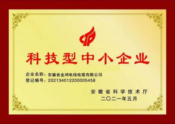 科技型中小企业