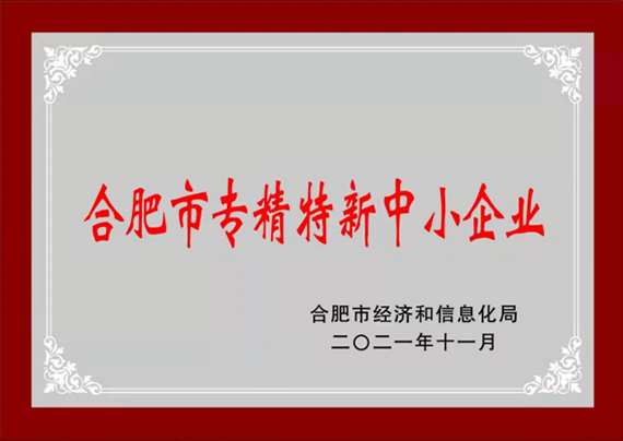 合肥市专精特新中小企业